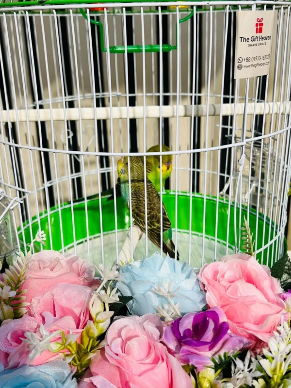 Luxury Birthday Bird Cage Surprise Decoration
