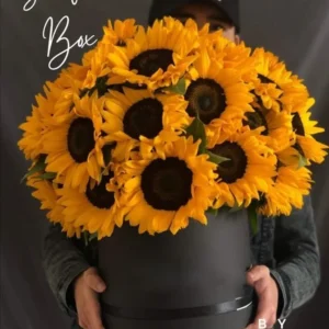 Luxury sunflower flower box featuring premium fresh sunflowers elegantly arranged in a stylish black round gift box, perfect for birthdays, congratulations, anniversaries, and special occasions in Bangladesh.